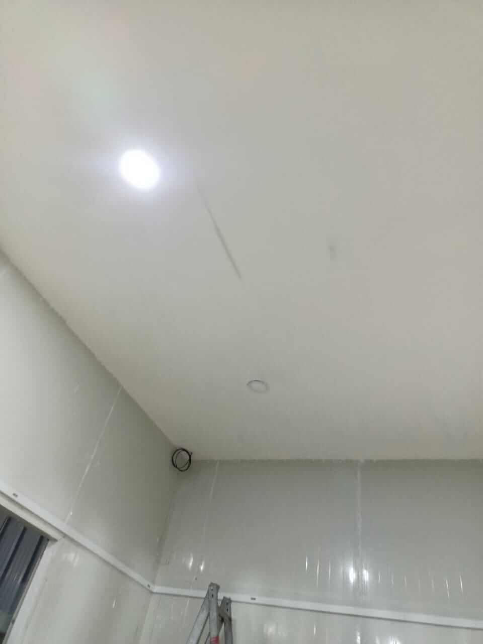 Project 1